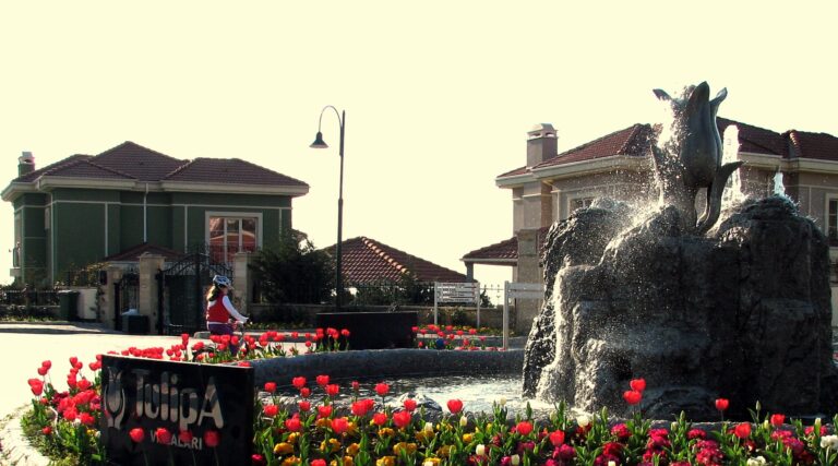 461695916_9143380405696730_6864632512738396318_n